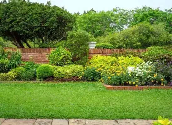 landscaping services Albemarle